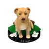 Bobblehead personalizzato per animali domestici - Cane marrone